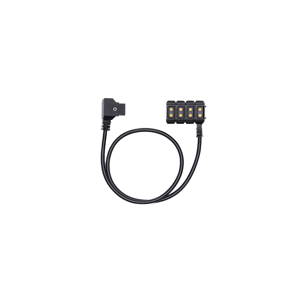 Fxlion - Accessory Cable DTAPM/4xDTAPF